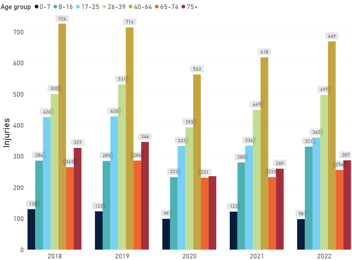 Annual pedestrian hospitalised injuries by age group